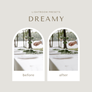 Dreamy Presets